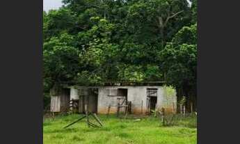 Imagem 3: Chácara para Venda em Alfredo Marcondes, CHÁCARA ALFREDO MARCONDES
