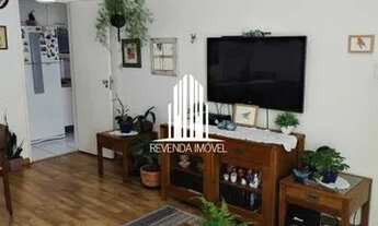 Imagem: Apto 3 dorm Jardim das Acacias