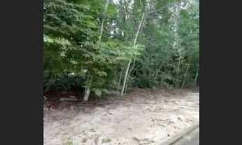 Imagem 6: Lote Alphaville 3