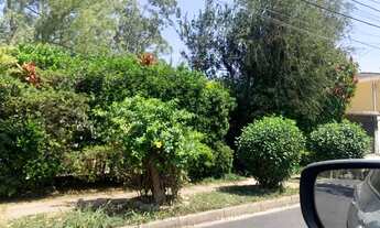 Imagem 2: Imperdivel !!!Casa totalmente terra excelente localização 3 d 2 vagas