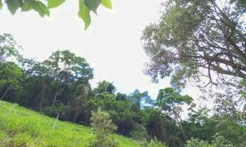 Imagem 4: Sítio a venda - 3,5 alqueires de tranquilidade e conforto