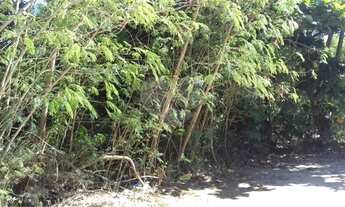 Imagem: Terreno à venda em Itaipu - RJ
