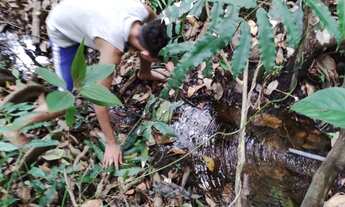 Imagem 4: Chácara 4.000m², à 8km de Jaranápolis-Go, 55 km de Anápolis