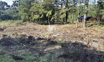 Imagem 4: TERRENO EM LOTEAMENTO DE GRAMADO