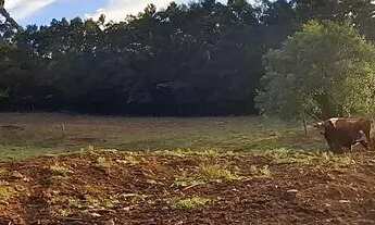 Imagem 7: Chácara Chácara com venda por R$380.000