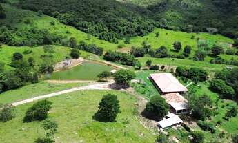 Imagem: Fazenda Cultura 61 Alqueires - Itapuranga-Go