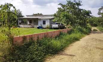 Imagem: SÍTIO NO JANAUARI