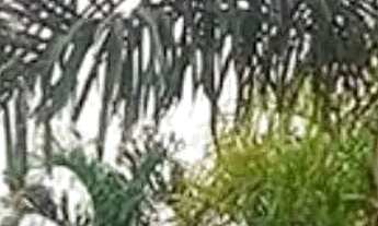 Imagem 5: Terreno em Condomínio à Venda em São José do Rio Preto-SP, Residencial Gaivota II - 400m²