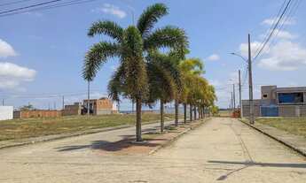 Imagem: Vende-se Lotes Cruz das Almas -BA