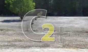 Imagem 3: TERRENO - VENDA - VILA LEOPOLDINA - 3670M2