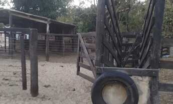 Imagem 6: Imóvel para venda possui 329000 metros quadrados em Zona Rural - Arinos - MG