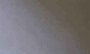 Imagem 7: Vendo casa 280.000