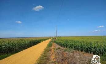 Imagem 5: FAZENDA COM FABRICA DE ÓLEOS VEGETAIS EM NOVA MUTU/ MT