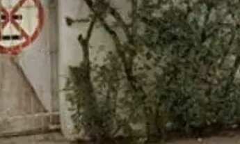 Imagem 2: TERRENO - VILA BASTOS - SP