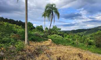 Imagem 3: Terreno linda vista pra airbnb 1000m2 Gravataí Taquara Morungava