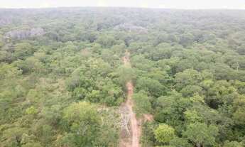 Imagem 2: Fazenda 15.416. Valor 61.664.000