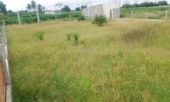 Imagem 5: Terreno 10x30 Loteamento Moita Formosa/ Itaporanga