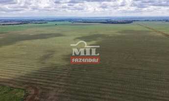 Imagem 2: Fazenda 75 alqueires (363 hectares) Acreuna - Go