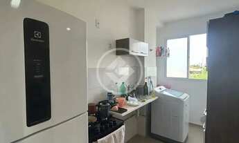 Imagem 7: Vende-se Esse Apartamento 2/4 Novo na 706 Próx da Palmas Brasil codigo: 162746