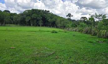 Imagem 3: Chácara à Venda Bairro Campo Novo