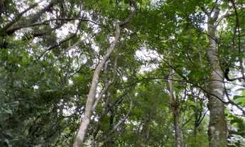 Imagem 5: Oportunidade na Serra