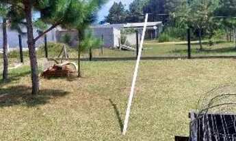 Imagem 6: Lindinha ? ? Casa com 2 dormitórios