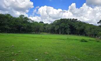 Imagem: Chácara à Venda Bairro Campo Novo