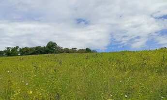 Imagem: Oportunida unica no interior de SP - 500