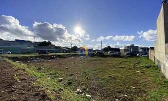 Imagem 3: Terreno com 162,58m² no Pineville