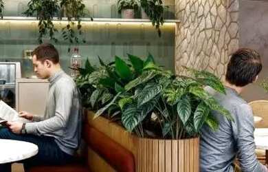 Imagem 3: Domani - Oportunidade. Lançamento com tabela especial