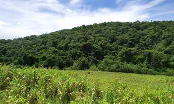 Imagem 5: Terreno em Ibiúna Sossego, Natureza e Segurança - SP