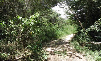 Imagem 3: Linda chácara de 2.500 m², com nascente a 100 metros do Rio Cipó (Temos varias opções)