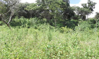 Imagem 2: Linda chácara de 2.500 m², com nascente a 100 metros do Rio Cipó (Temos varias opções)