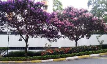 Imagem 6: Taboão da Serra - Apartamento Padrão - Jardim Monte Alegre