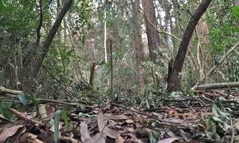 Imagem 7: Vendo chácara 2 hectares com riacho