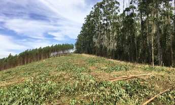 Imagem 5: Terrenos perto da represa
