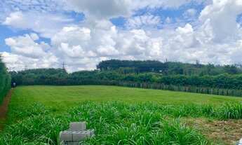 Imagem 3: Terreno pano com 2.850 m² à venda no Jardim das Palmeiras