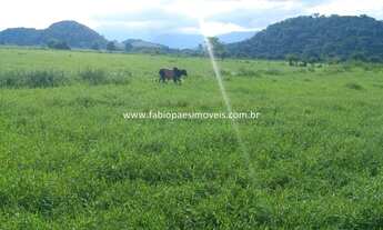 Imagem 8: Fabio Paes Imóveis - Fazenda de 33 alq (159.72 ha) com GEO - 70% plana