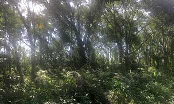 Imagem 3: Terreno à venda, 384 m² por R$ 65.000 - Praia do Imperador - Itapoá/SC