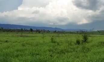 Imagem 3: 97 alqueires (90 de pasto) Paragominas-PA documentada por R$7 milhões