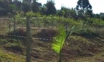 Imagem 4: Área de Terra Frente Asfalto Água Amarela