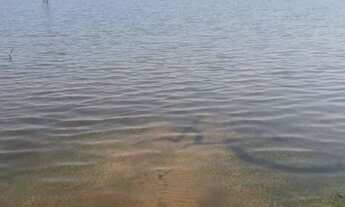 Imagem: Chacara/Sitio/Lote no Manso