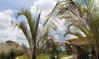 Imagem 3: UBERLâNDIA - Loteamento/Condomínio - Park Sul