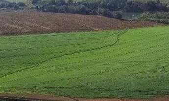 Imagem 4: Área Industrial para Venda em Colonia Cella Chapecó-SC