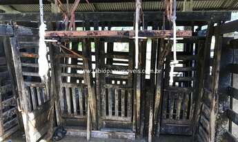 Imagem 5: Fabio Paes Imóveis - Fazenda de 33 alq (159.72 ha) com GEO - 70% plana