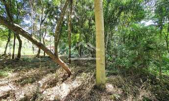 Imagem 4: Amplo terreno localizado no bairro São João em Picada Café na Serra Gaúcha