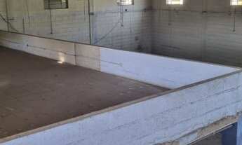 Imagem 5: Galpão Vila Carlina