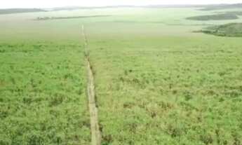 Imagem 2: 97 alqueires (90 de pasto) Paragominas-PA documentada por R$7 milhões