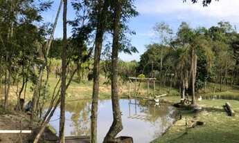 Imagem 2: IçARA - Sítio - Linha Anta