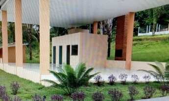 Imagem 6: Terreno de esquina, nascente de fundos p/ igarapé no km 08 do Janauary